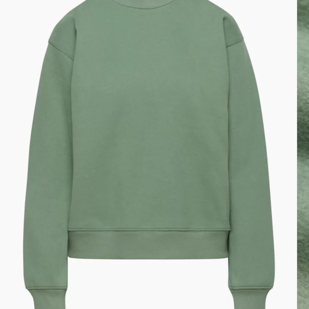 TNA Aritzia Cozy AF Fleece Crewneck In Green Size 1
